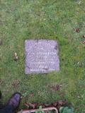 image of grave number 485216